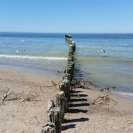 Samana Daire Dziwnówek