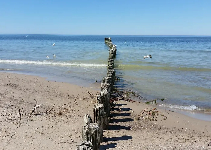 Samana Апартаменты Дзивновек